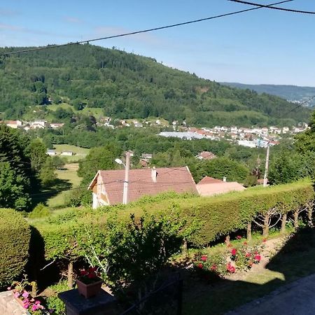 Gite De Bellevue Maison Traditionnelle Vosgienne بلاينفاينغ المظهر الخارجي الصورة