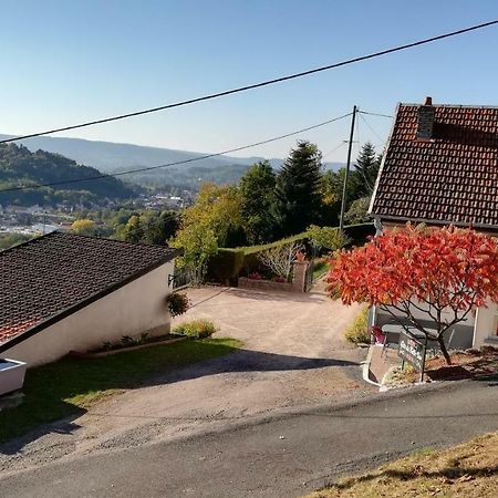 Gite De Bellevue Maison Traditionnelle Vosgienne بلاينفاينغ المظهر الخارجي الصورة
