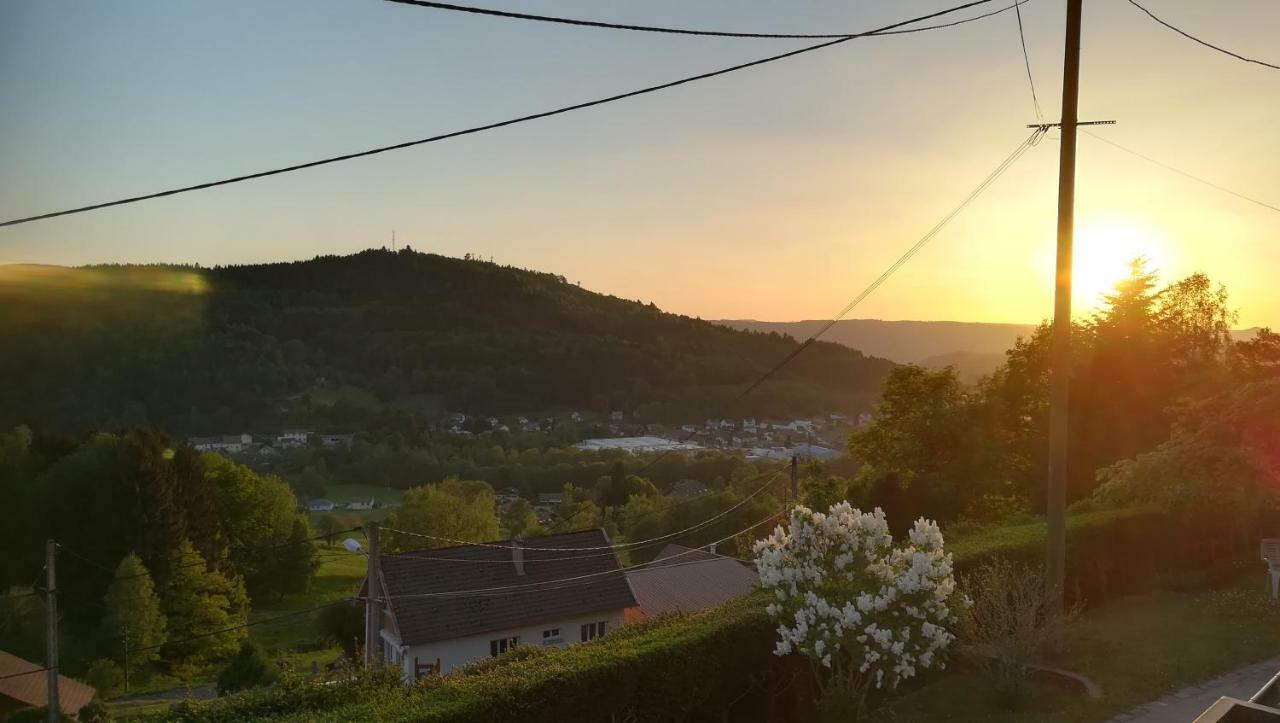 Gite De Bellevue Maison Traditionnelle Vosgienne بلاينفاينغ المظهر الخارجي الصورة