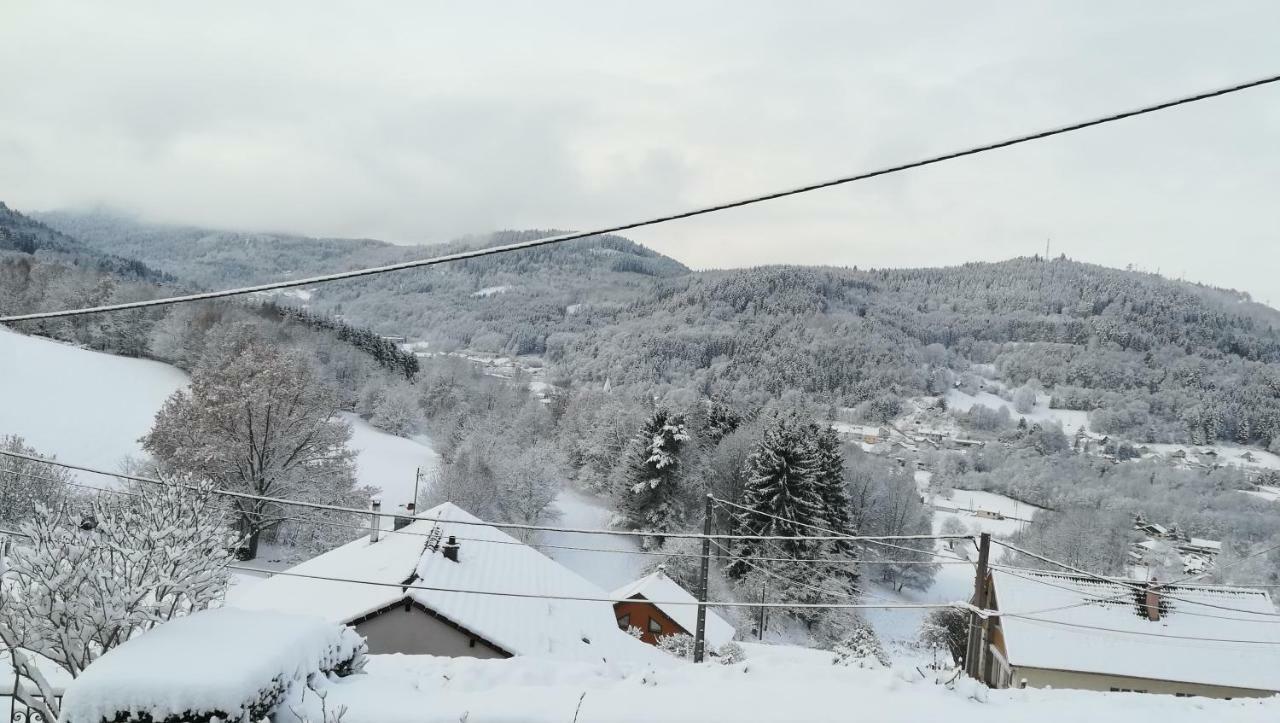 Gite De Bellevue Maison Traditionnelle Vosgienne بلاينفاينغ المظهر الخارجي الصورة