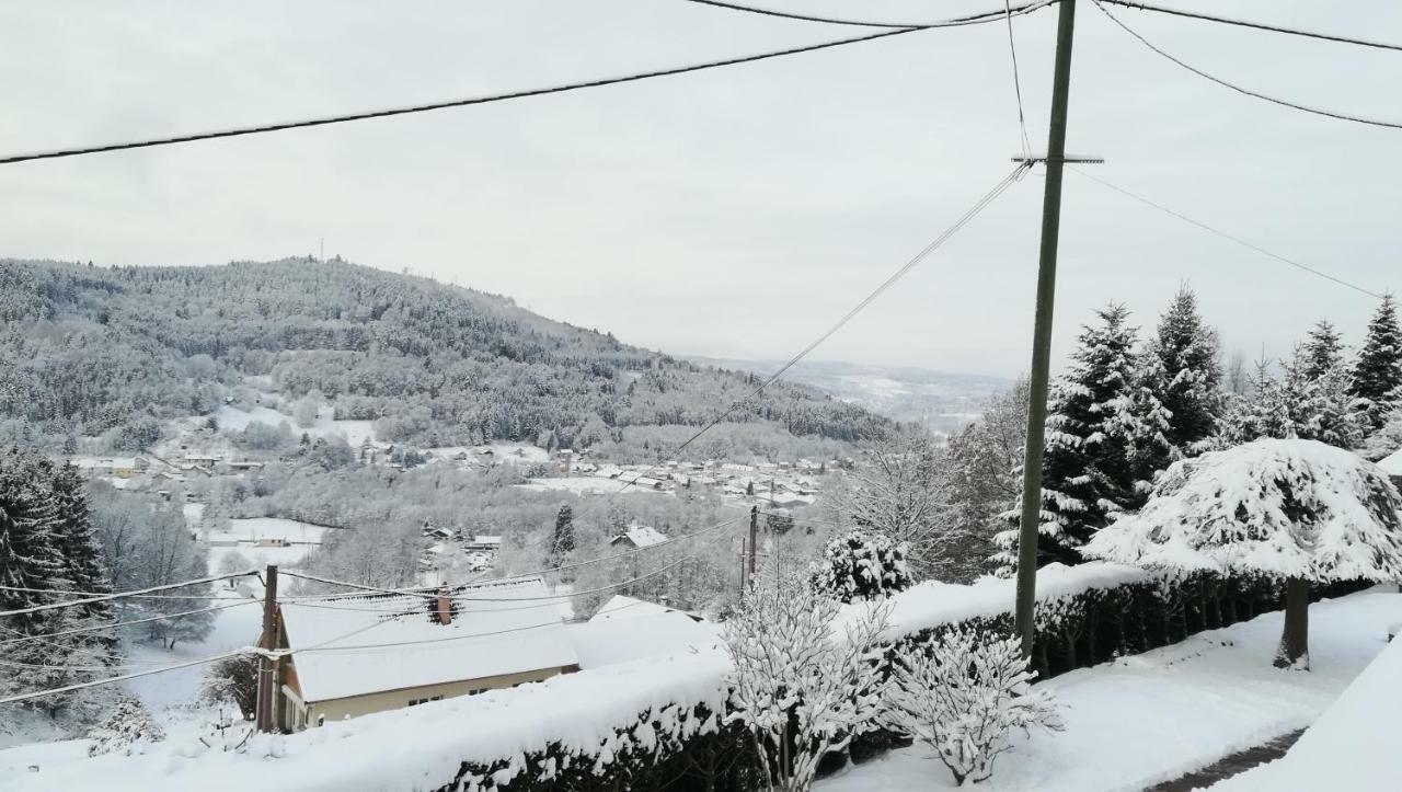 Gite De Bellevue Maison Traditionnelle Vosgienne بلاينفاينغ المظهر الخارجي الصورة