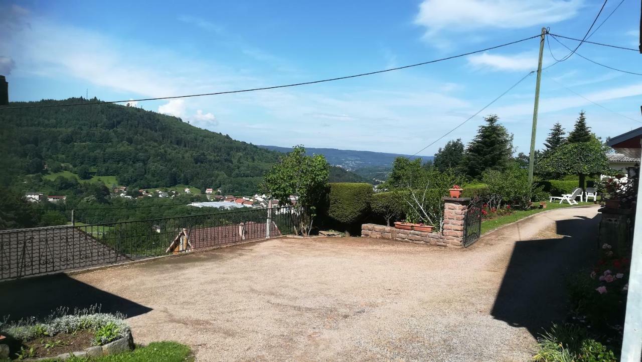 Gite De Bellevue Maison Traditionnelle Vosgienne بلاينفاينغ المظهر الخارجي الصورة